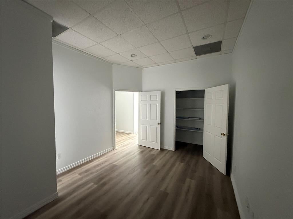 Picture 13