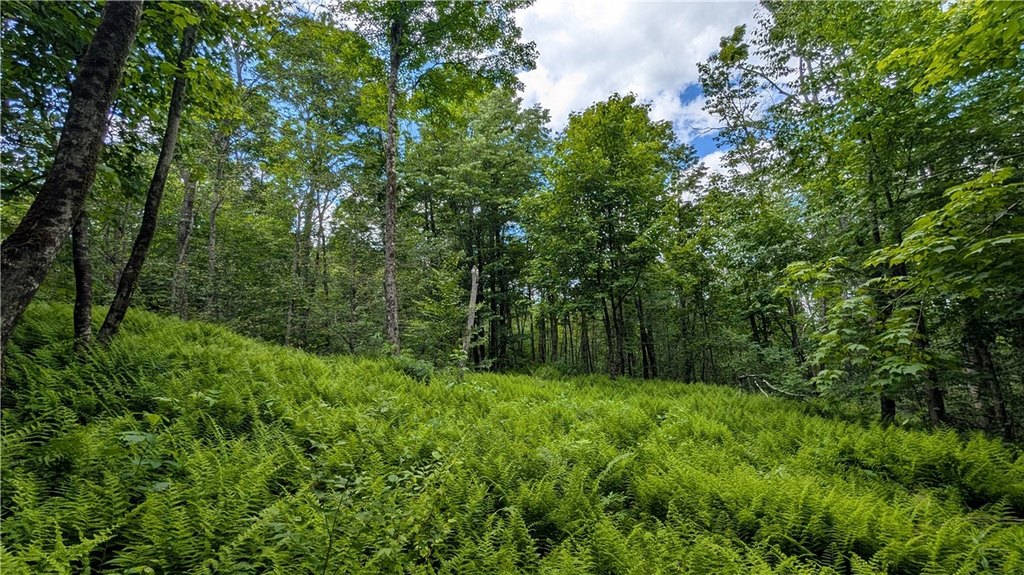 Picture 20