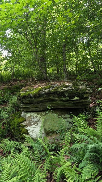 Picture 25
