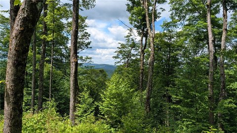 LAND - Hamden, NY
