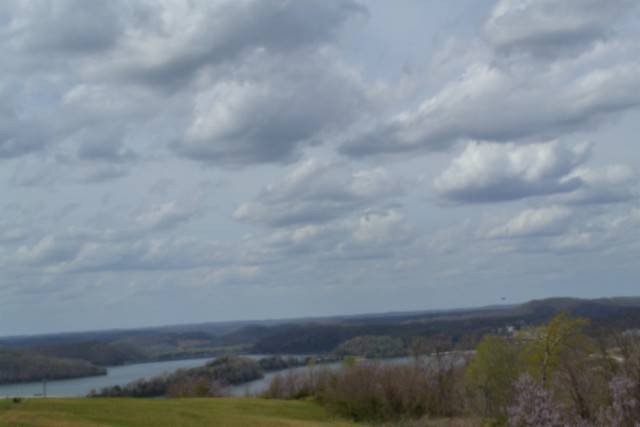Picture 19