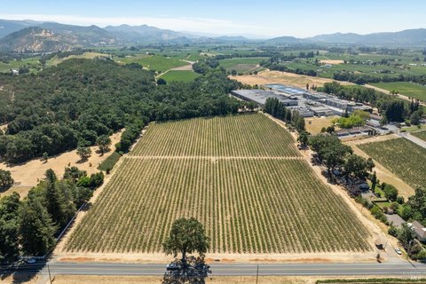 Rutherford AVA Cabernet Sauvignon Vineyard
