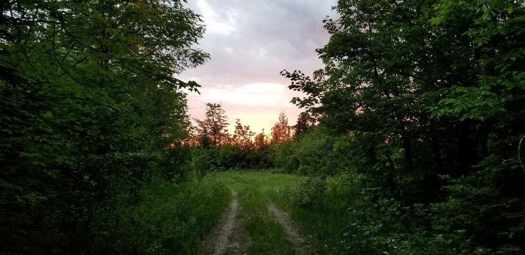 Picture 27