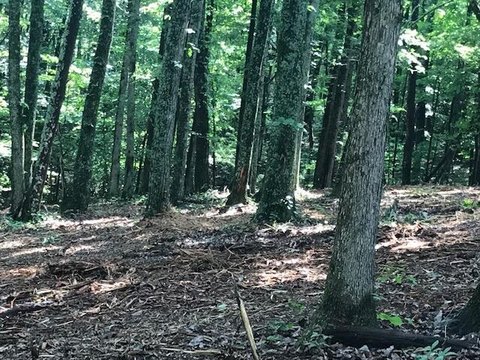 Spring City Land with Utilities