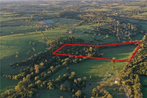 Berryville Acreage with Pasture, Timber