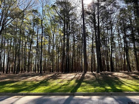 Estate Lot with Mature Trees