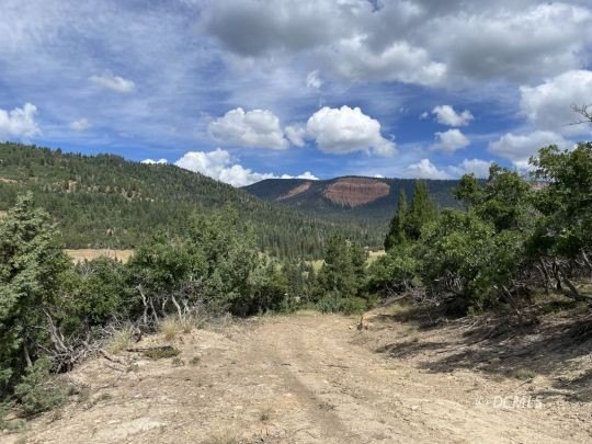 Secluded Lots with Sweeping Views
