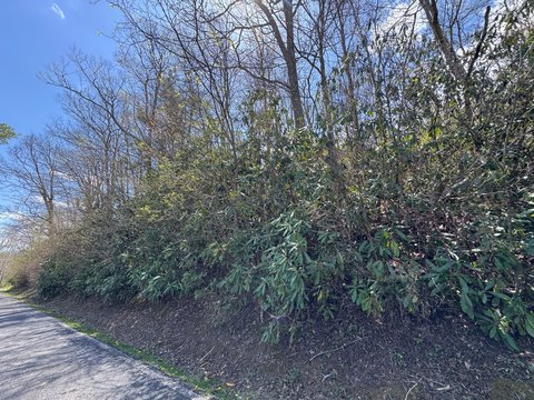 Vacant Land Near Golf Course