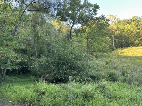 Land, Rogersville, TN