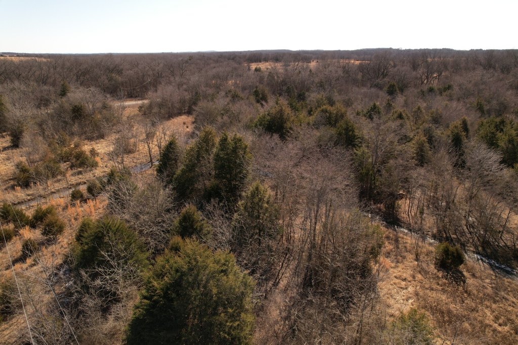 Picture 10