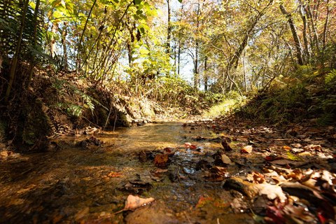 Mountain View Land in Copperhill