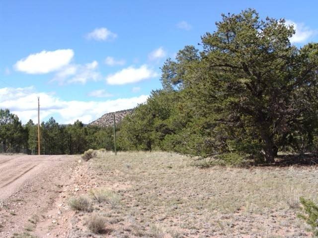 Picture 8