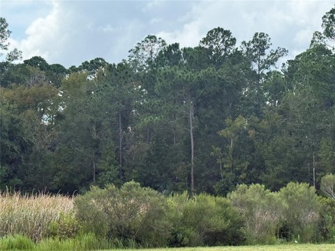 Land, HOMOSASSA, FL