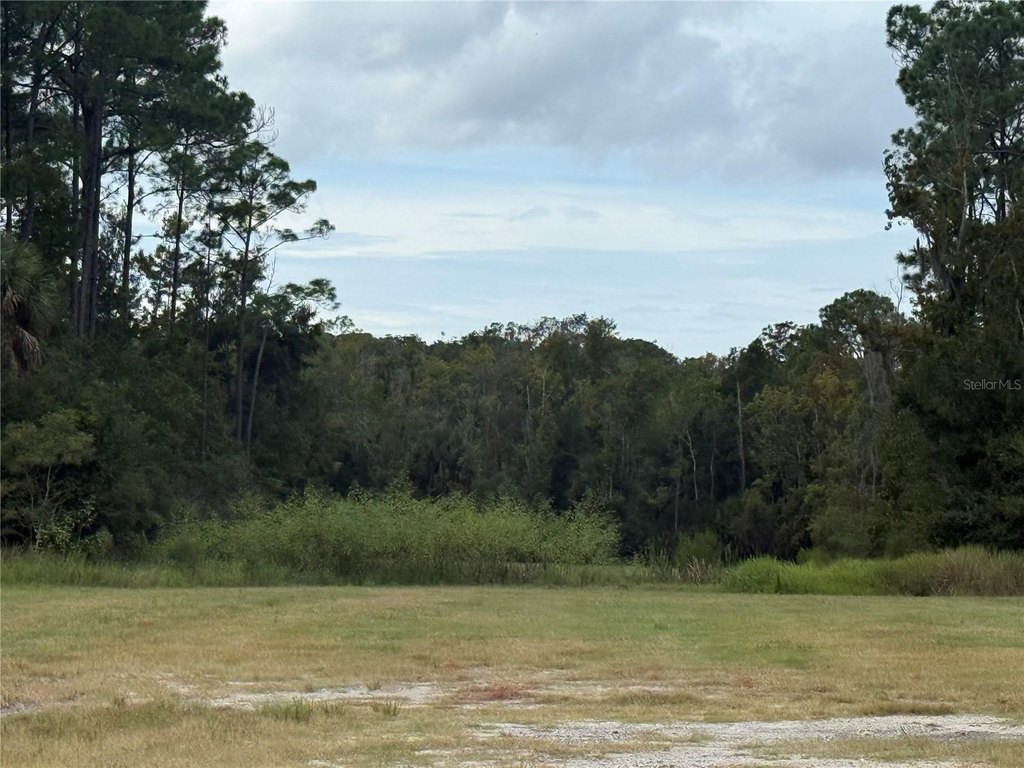 Picture 3