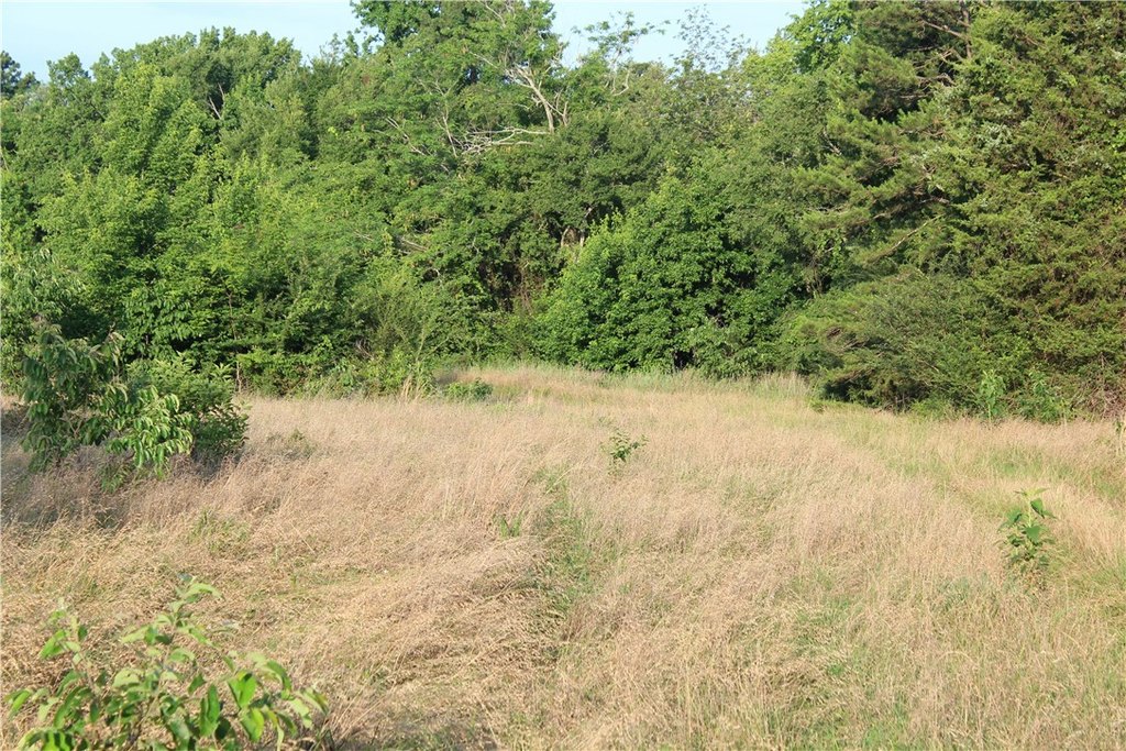 Picture 24