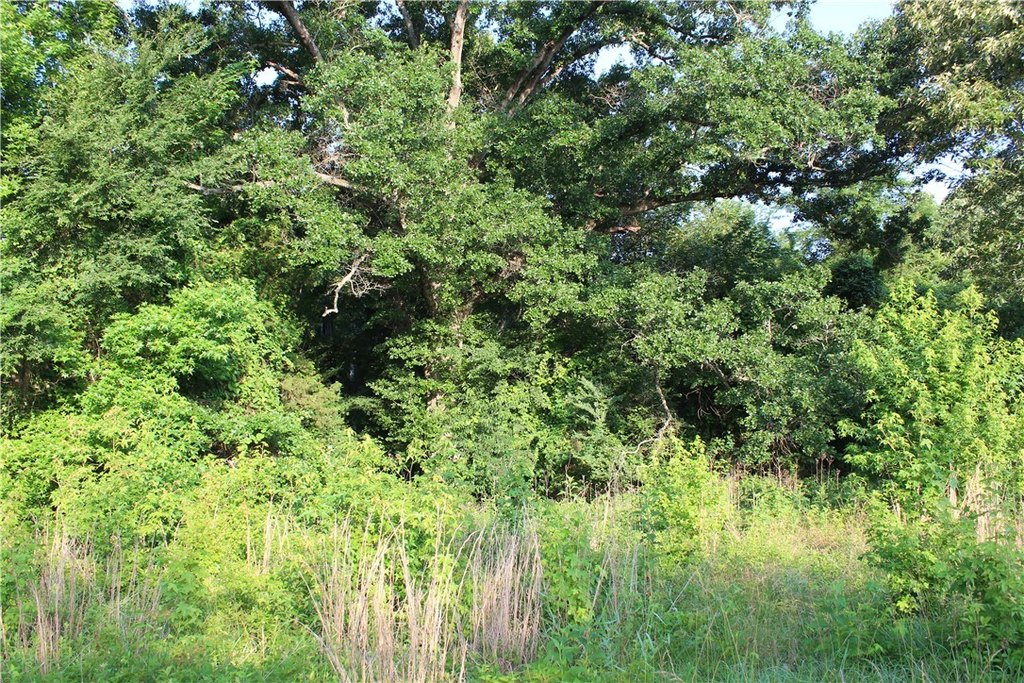 Picture 38