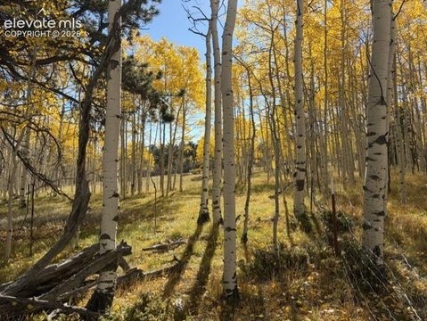 Land, Florissant, CO