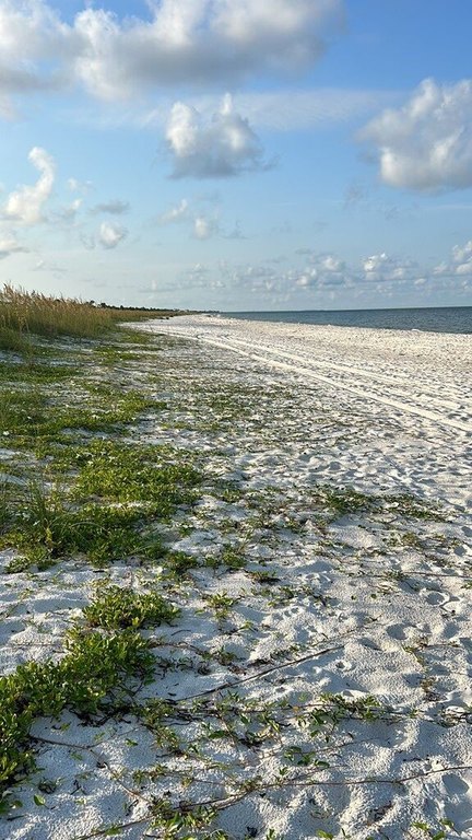 Picture 3