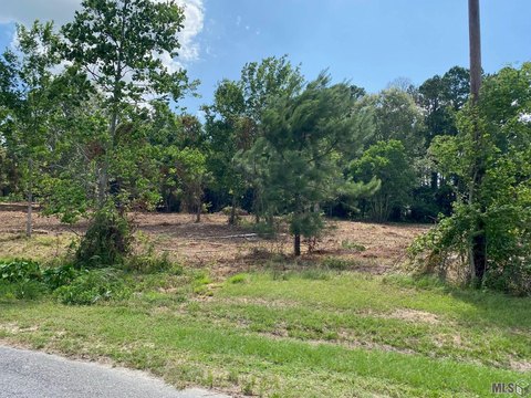 Commercial Land Lot with 125-Foot Frontage