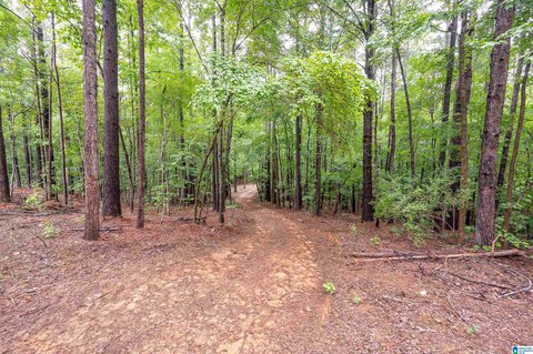 LAND/LOTS, CHELSEA, AL