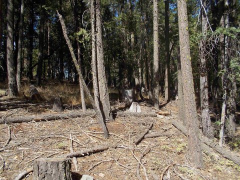 Quincy Land For Sale