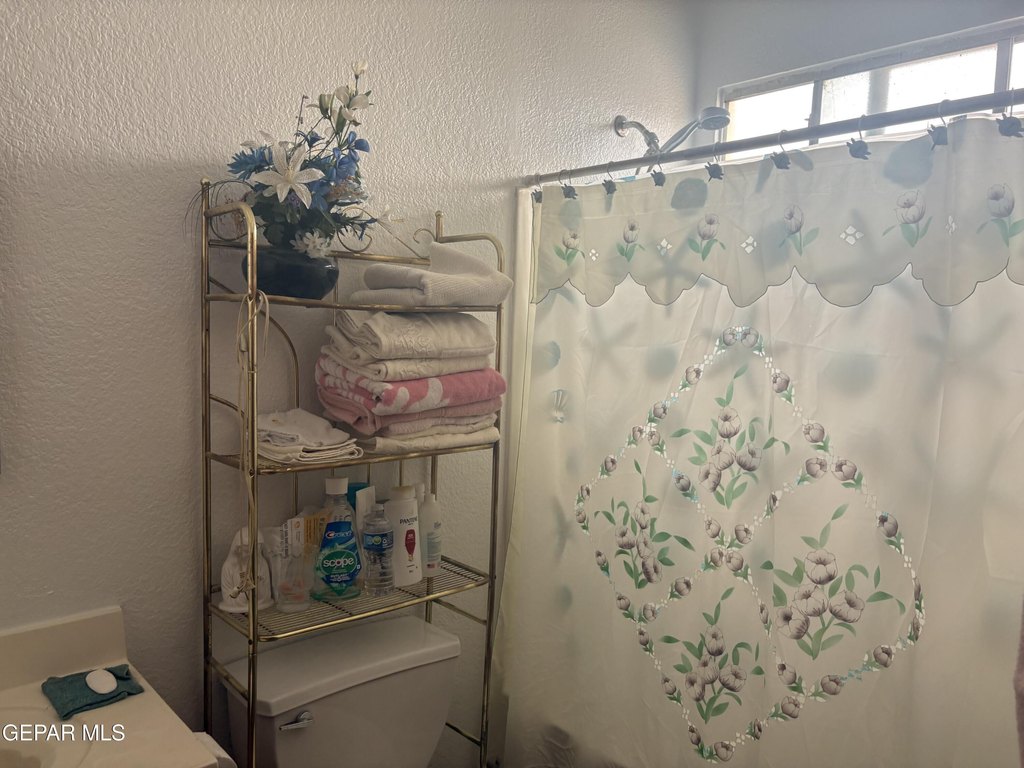 Picture 21