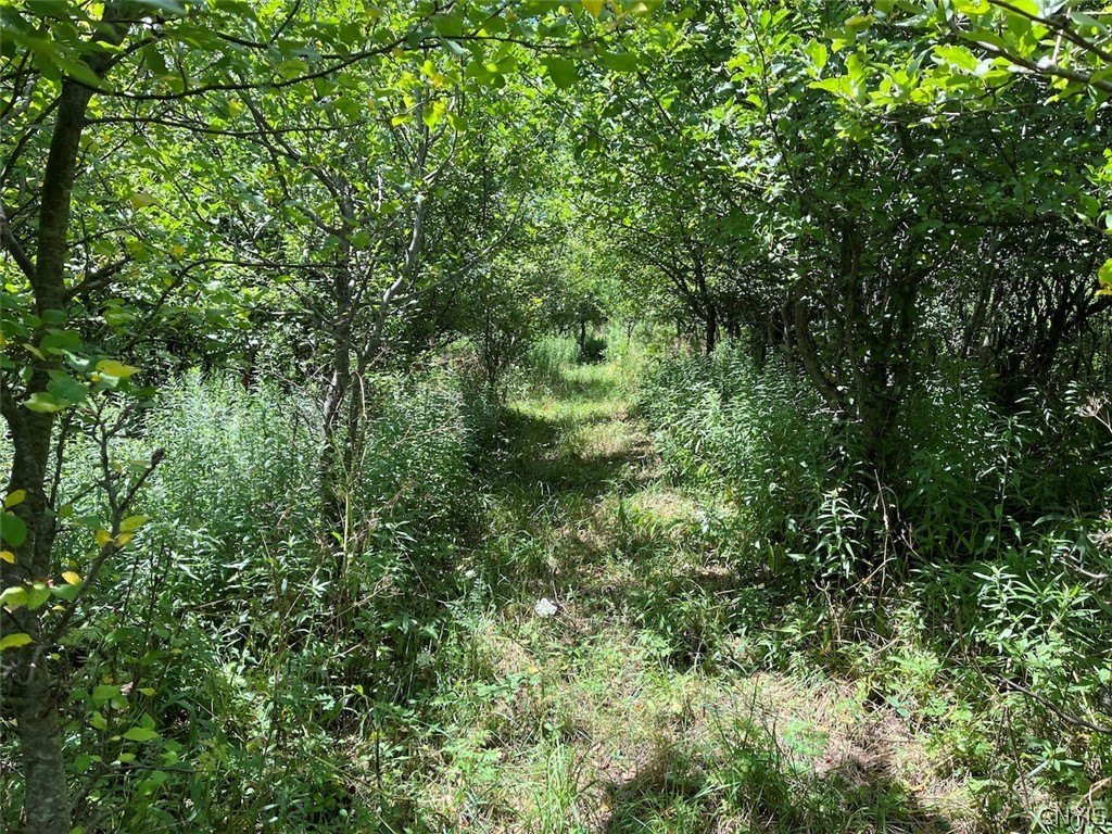 Picture 6
