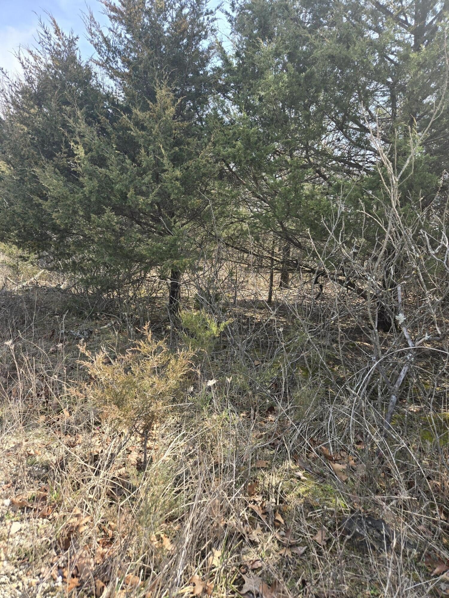 Land in Aurora, Missouri