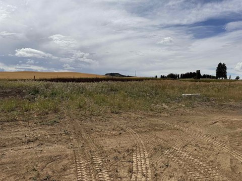 Land, Reardan, WA