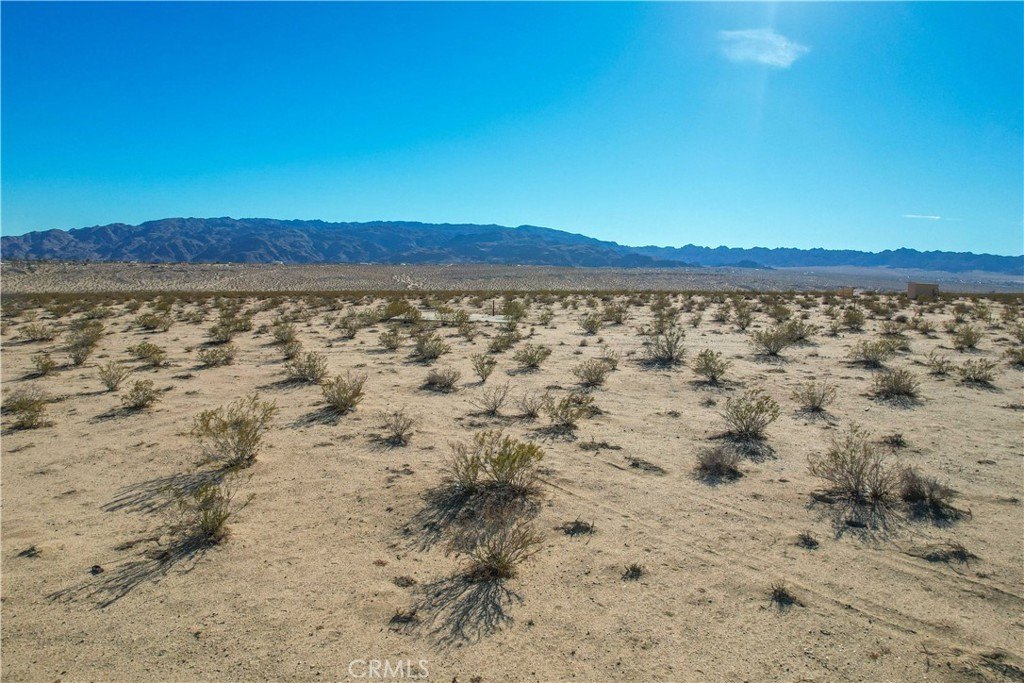 Picture 22