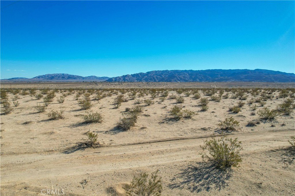 Picture 21