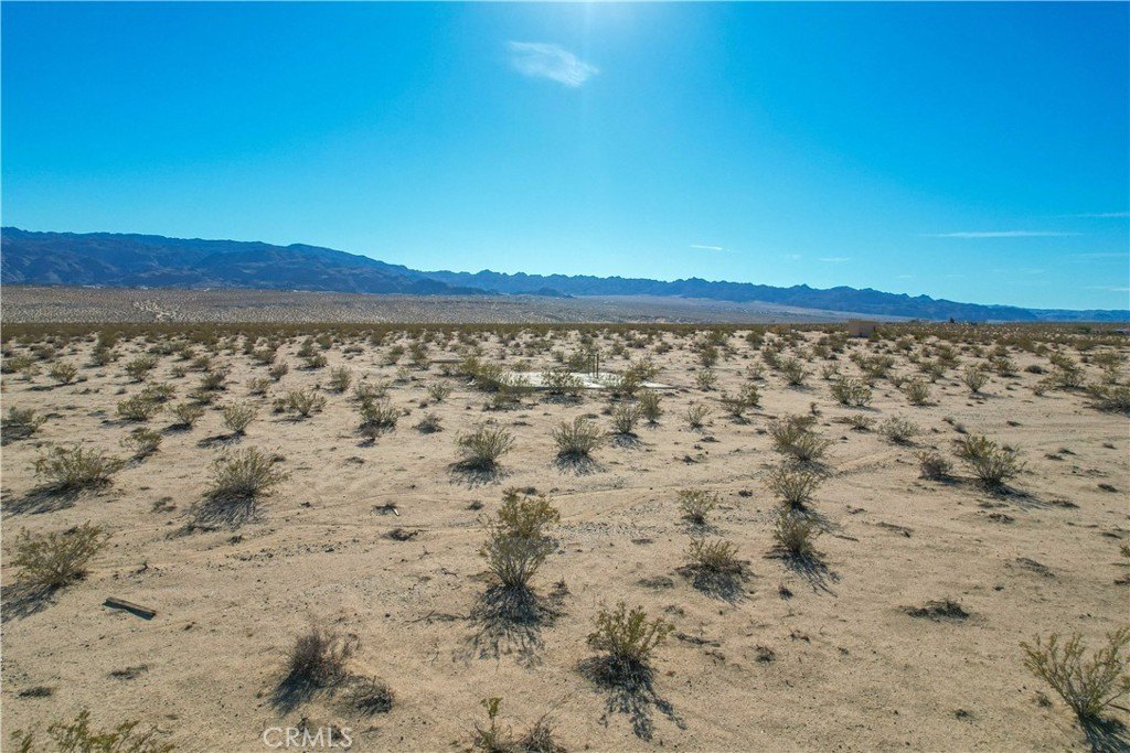 Picture 23