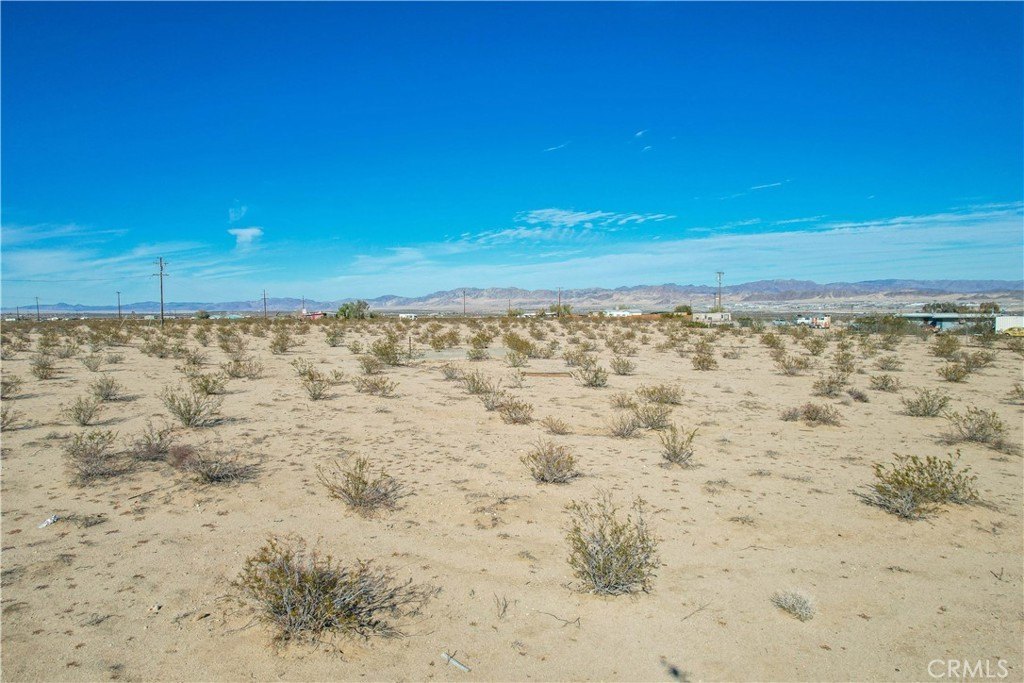 Picture 25