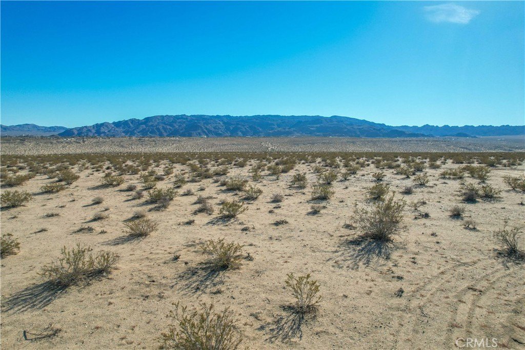 Picture 29