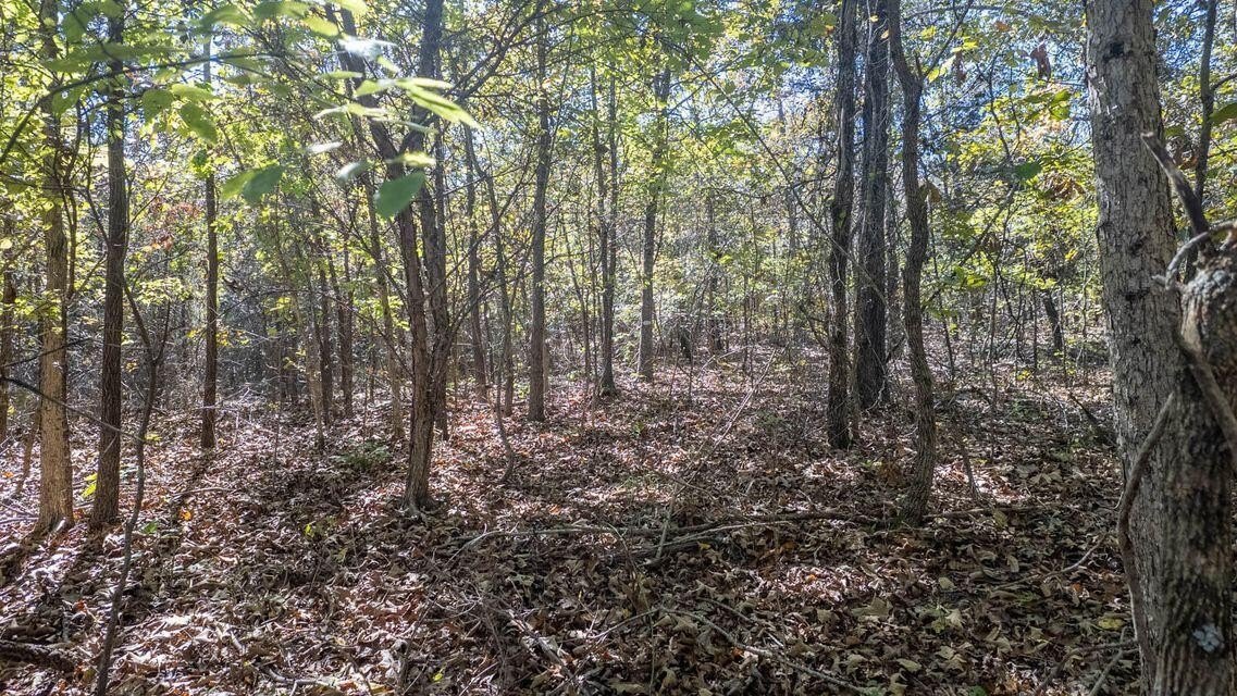 Residential Lot in Cherokee Village
