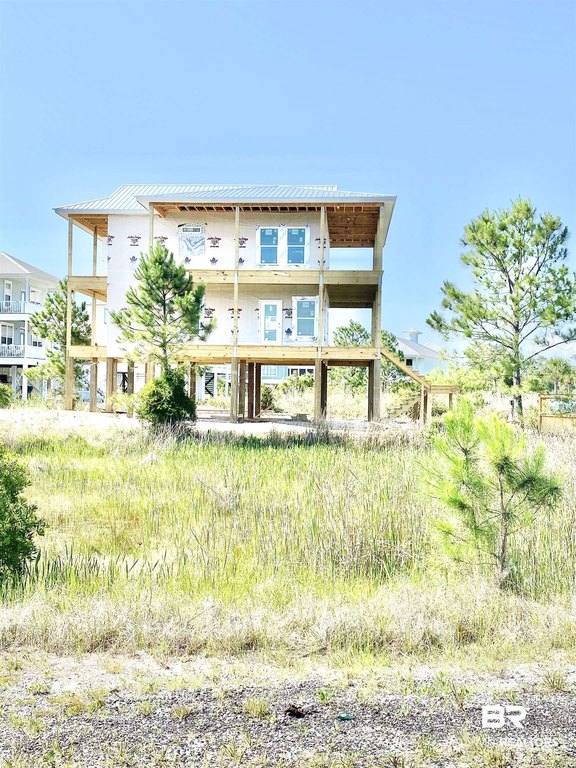 Picture 5