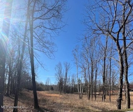 Lake Cormorant Home Site