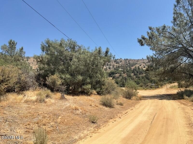 Picture 6