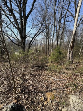 Residential Land in Kingsport