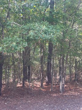 Land For Sale, Oil City