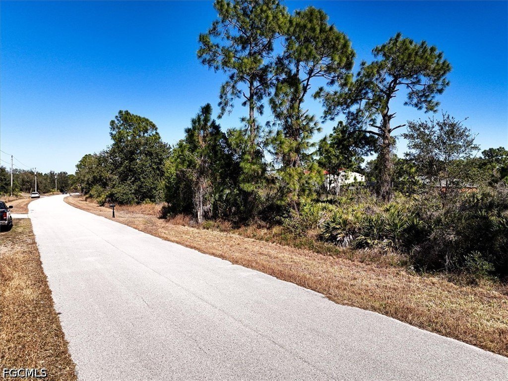 Picture 18