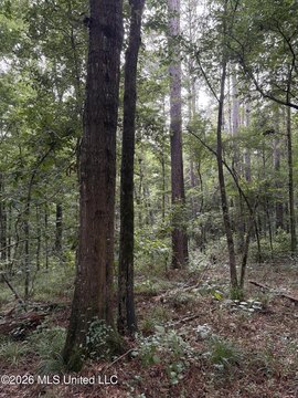 LAND - Pelahatchie, MS