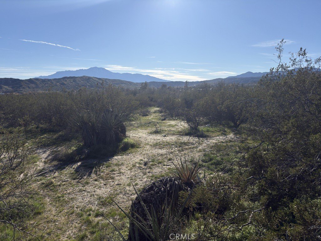 Picture 9