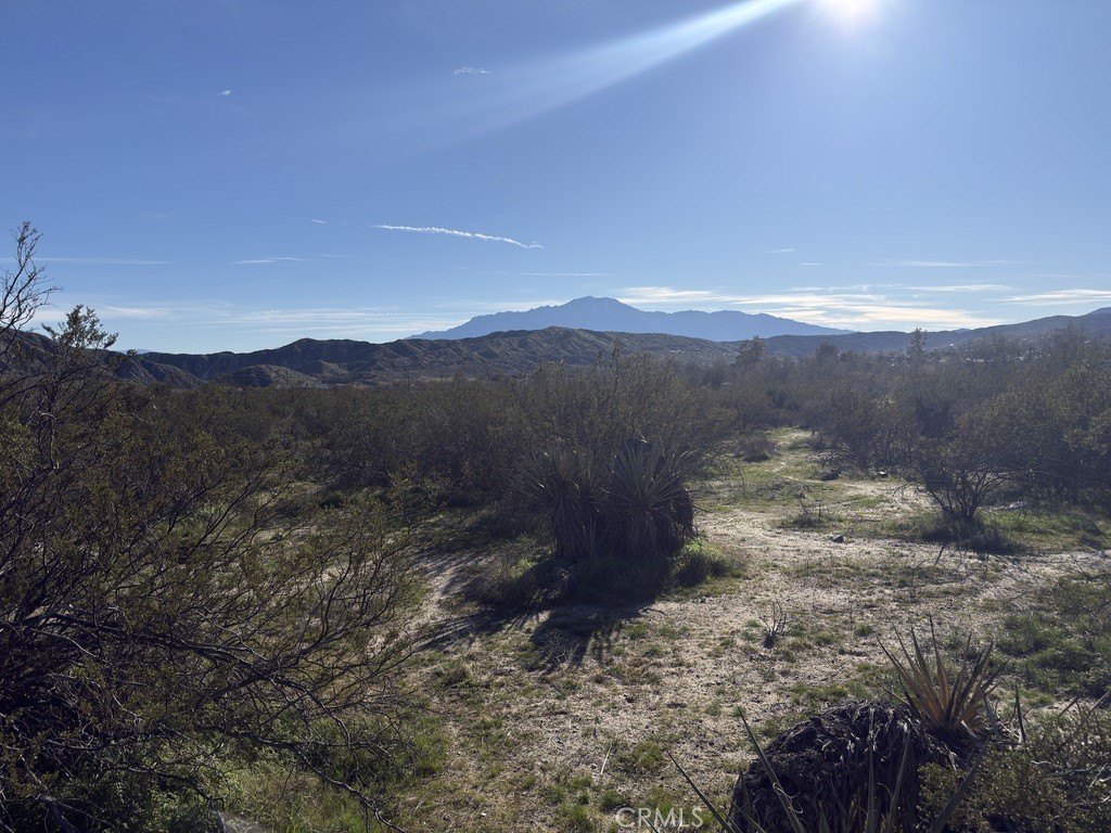 Picture 15