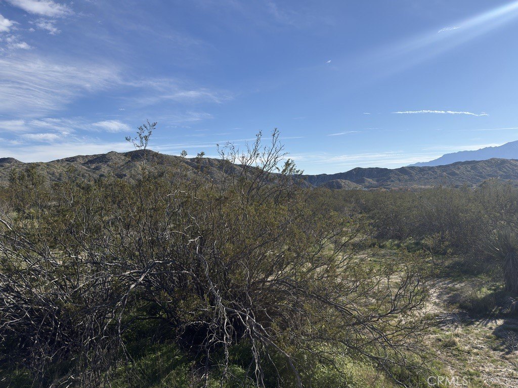 Picture 5