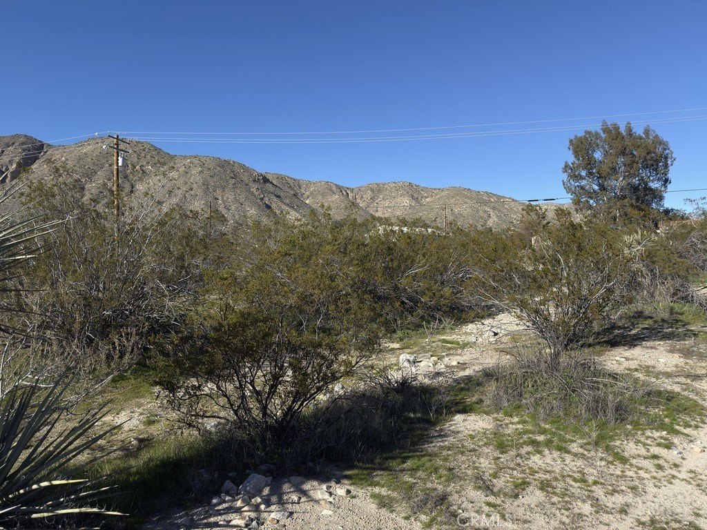 Picture 13