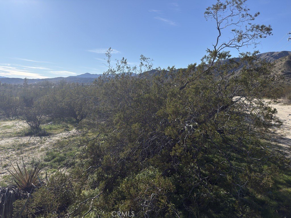 Picture 14