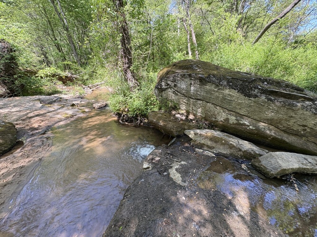 Picture 13