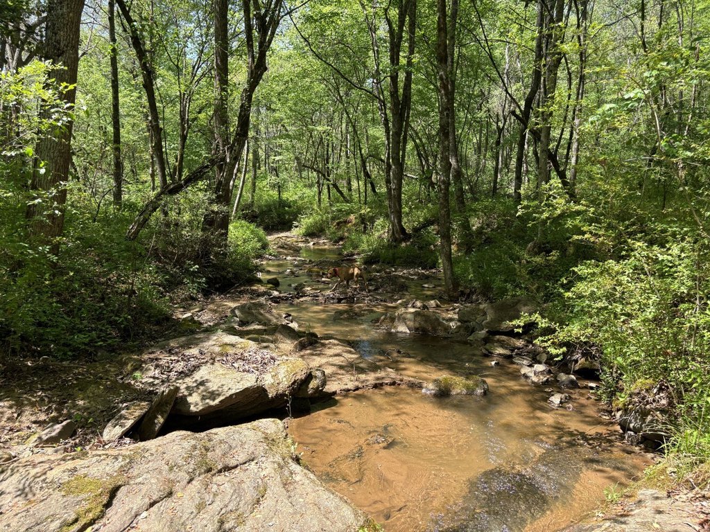 Picture 28