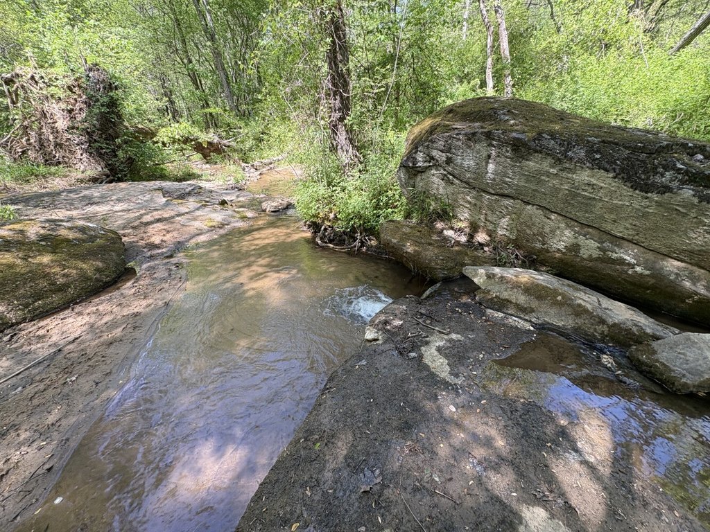 Picture 25
